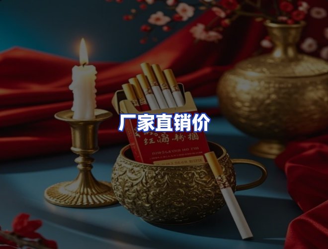 专业团队